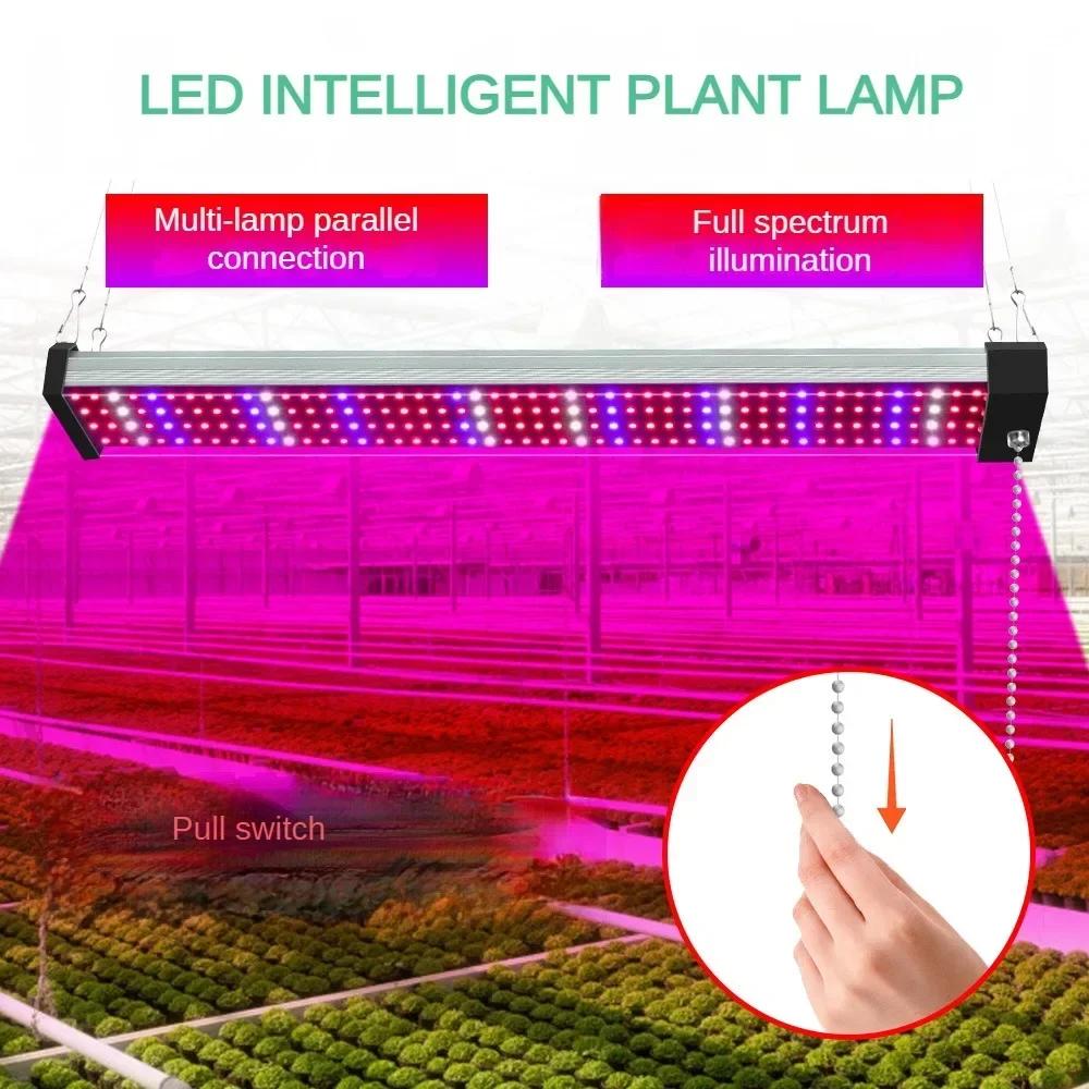 LED  , ü Ʈ  Ʈ, ǳ , ½, ä, , Ĺ , ̽, 96 LED, 50cm